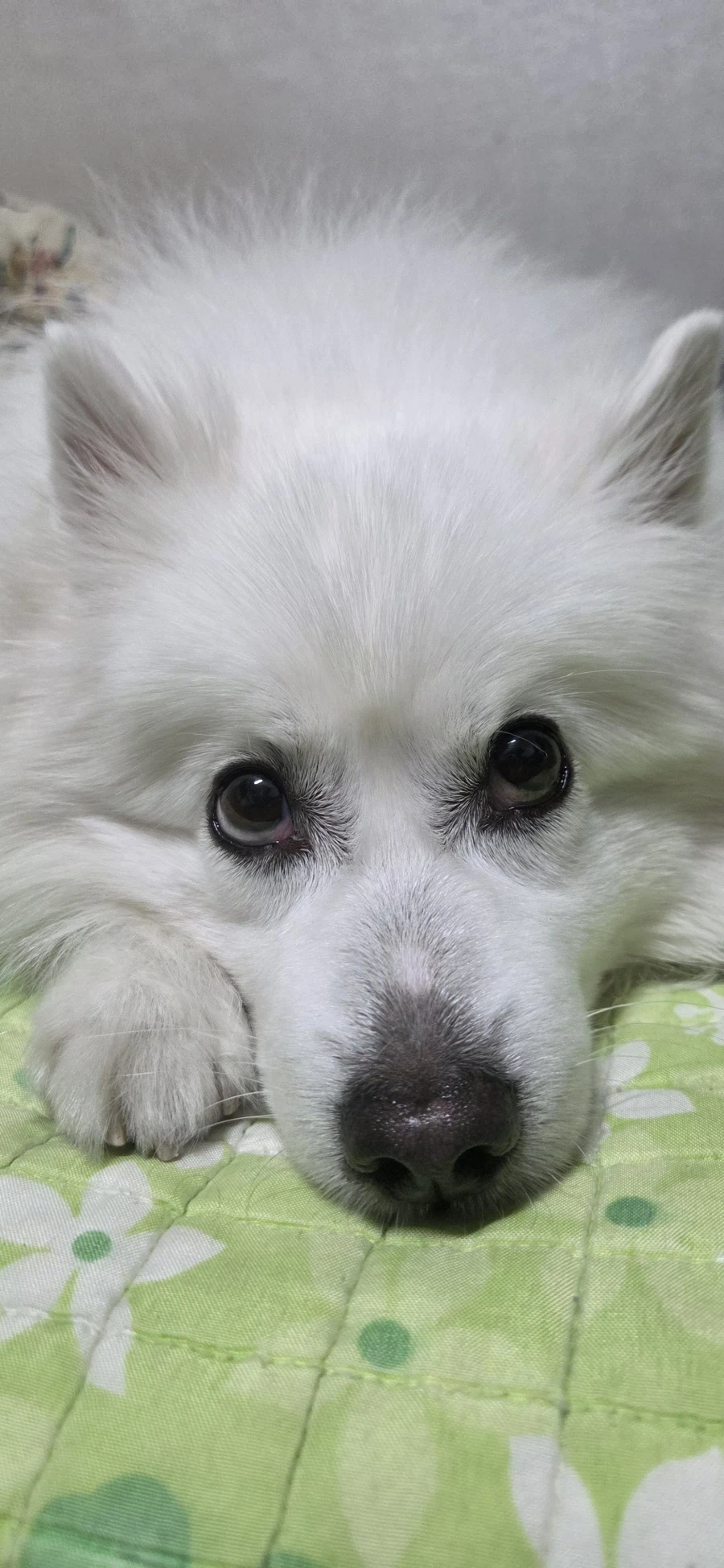 대충 베스트 가고 싶다는 글_6.webp