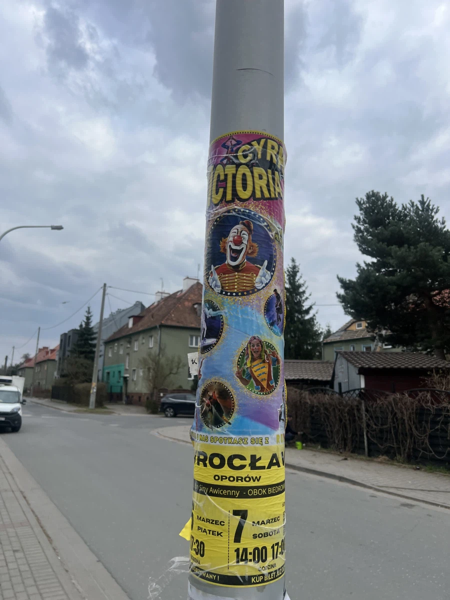 길 걷다가 마주한 폴란드산 헌트릭스 루미_2.webp