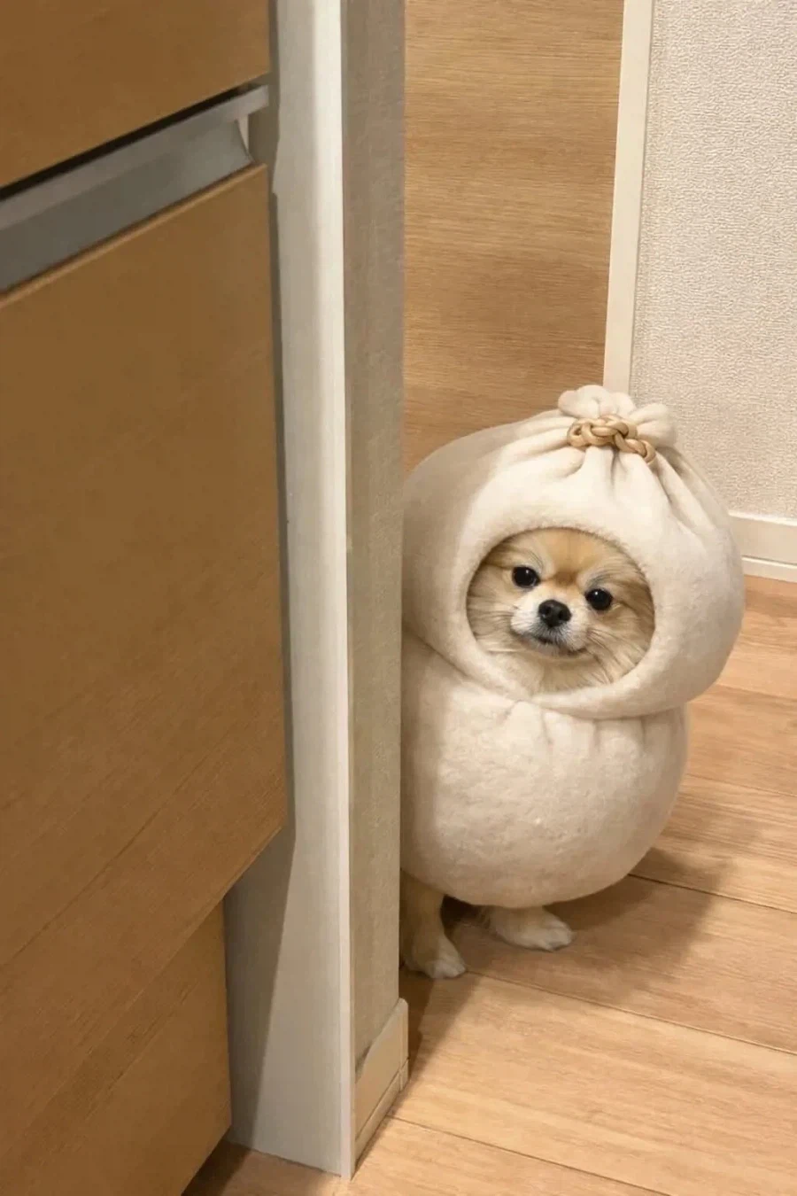 난 별거 없고_1.webp