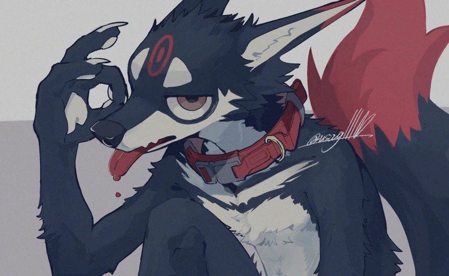 퍼리의 목줄_4.webp