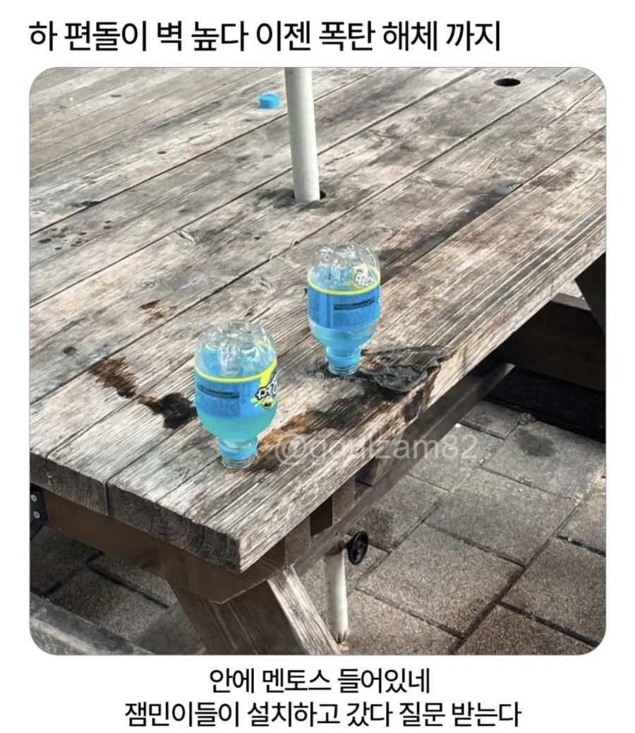 편돌이 폭탄해체 투입 레전_1.webp