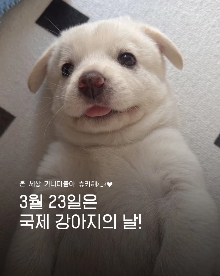 오늘 하루 진짜 개같은 날이네_1.webp