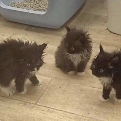 휴가나온 애가 차를 긁었다는데 어캐할까_1.webp