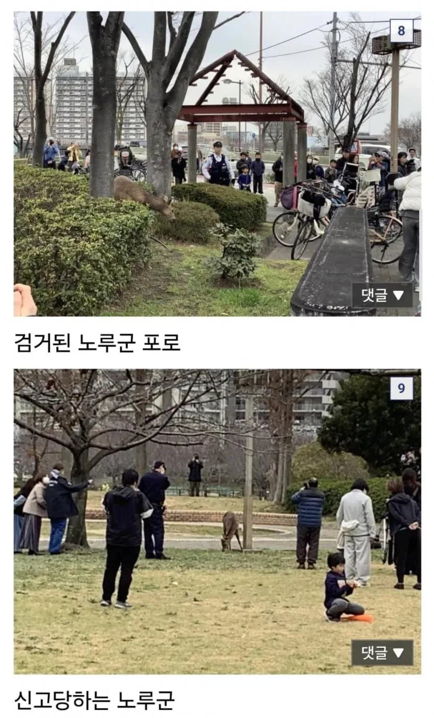 밀리터리) 노루군 VS 오사카시 전쟁 진행 상황도_5.webp