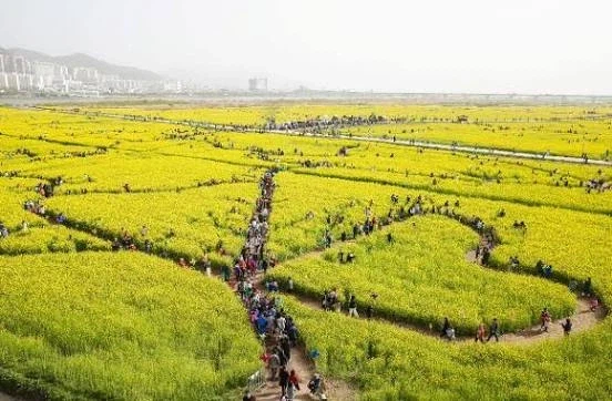 해외에서 부산을 꽉 찬 육각형 여행지로 주목하는 이유.jpg_18.webp