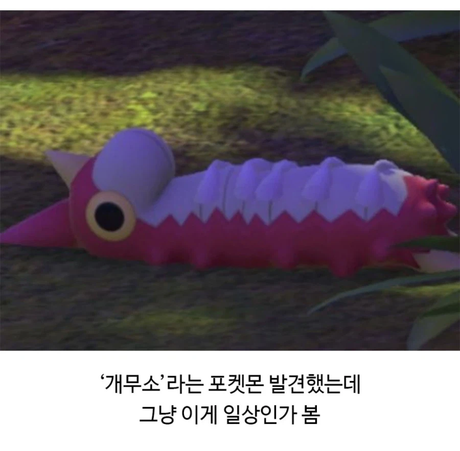 포켓몬 일상 특_2.webp