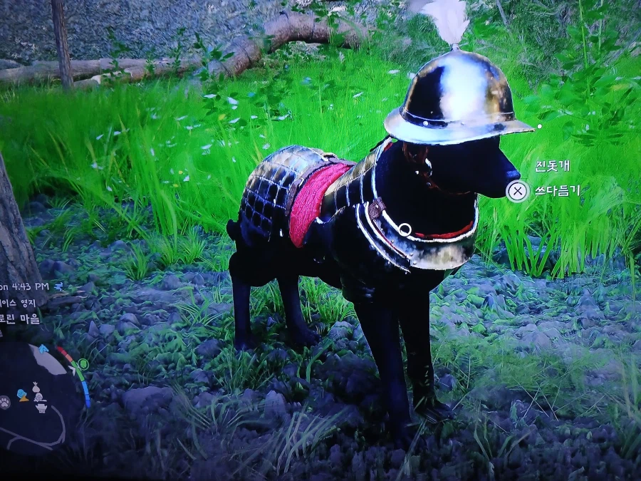 펫 방어구도 있네요_1.webp