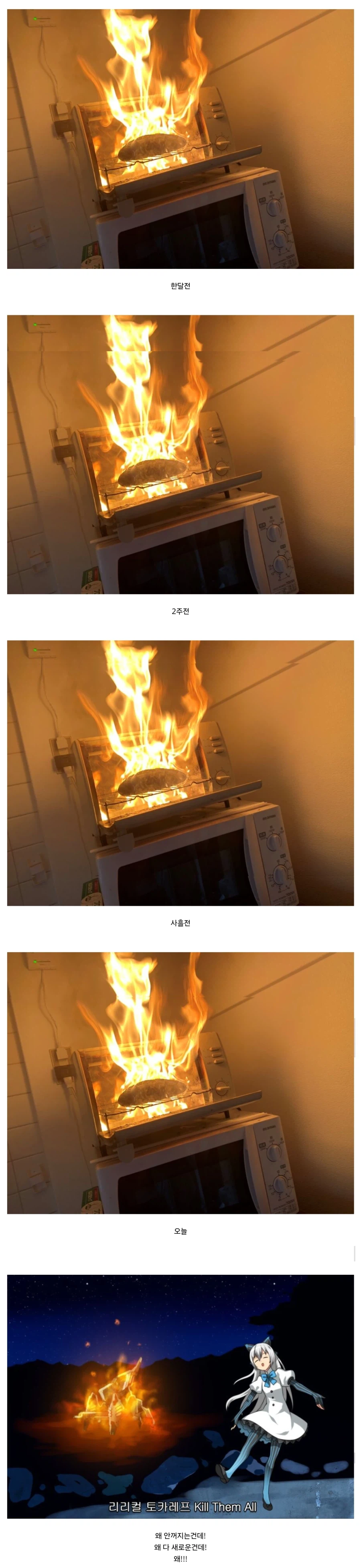 ㅇㅇㄱ) 논란 근황_1.webp