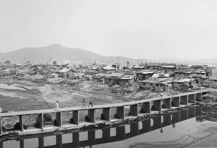 속보 이시각 서울_1.webp