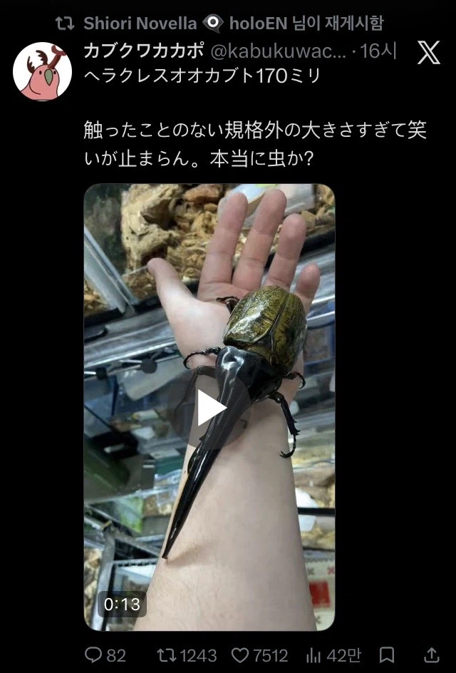 버튜버) 시오리 풍뎅이 리트윗_1.webp