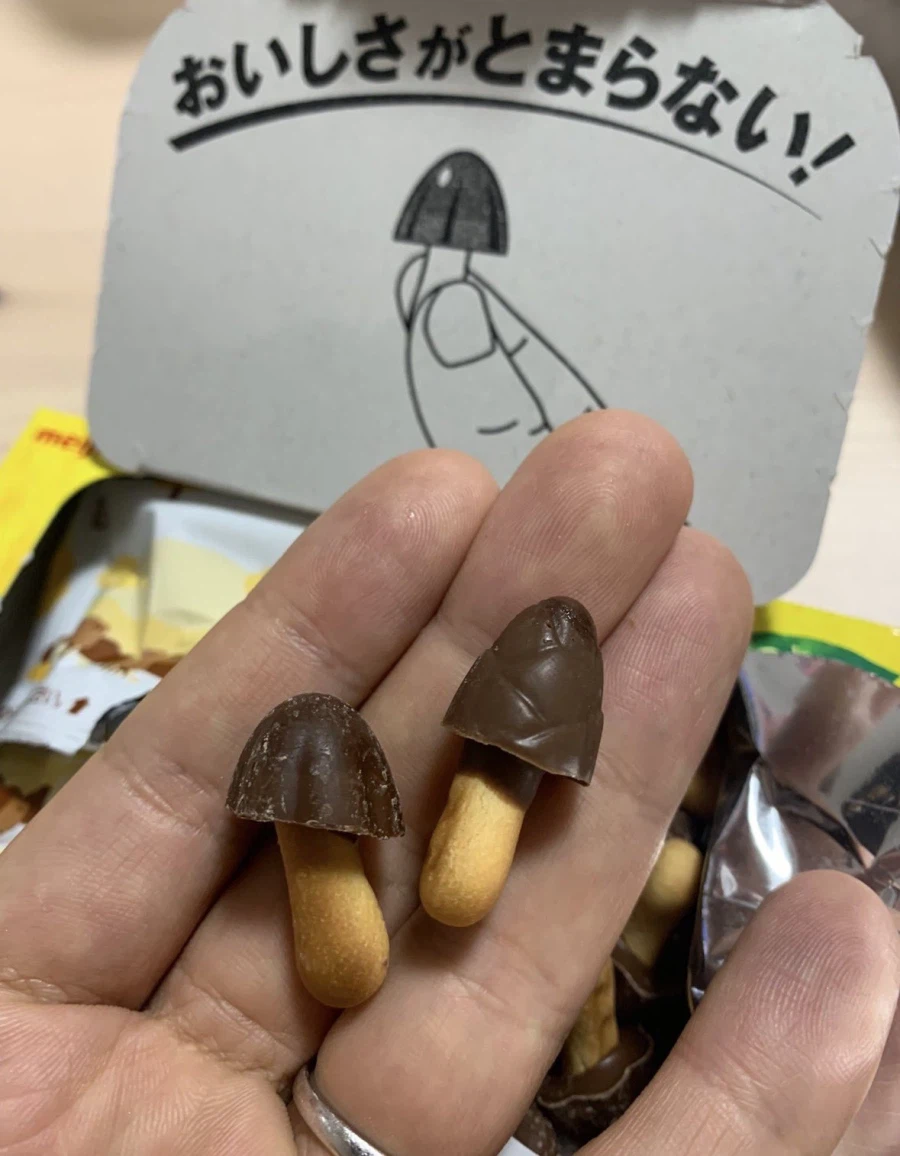 우리 중에 스파이가 있는 것 같아_1.webp