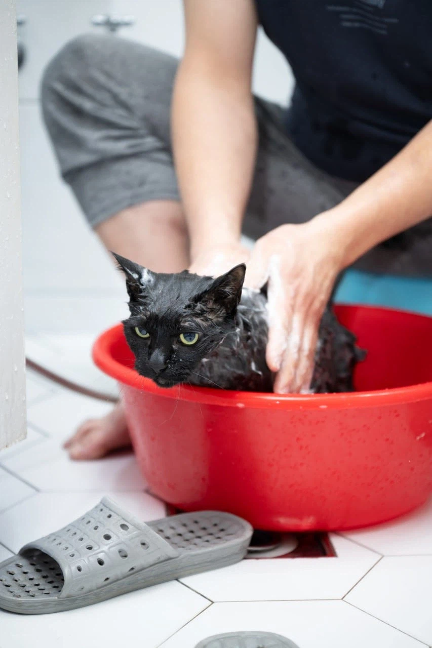 2일째 못자고 있는 40대 근황.._4.webp