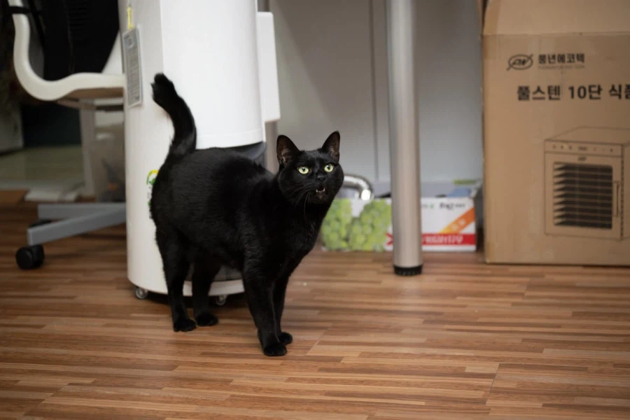 2일째 못자고 있는 40대 근황.._8.webp