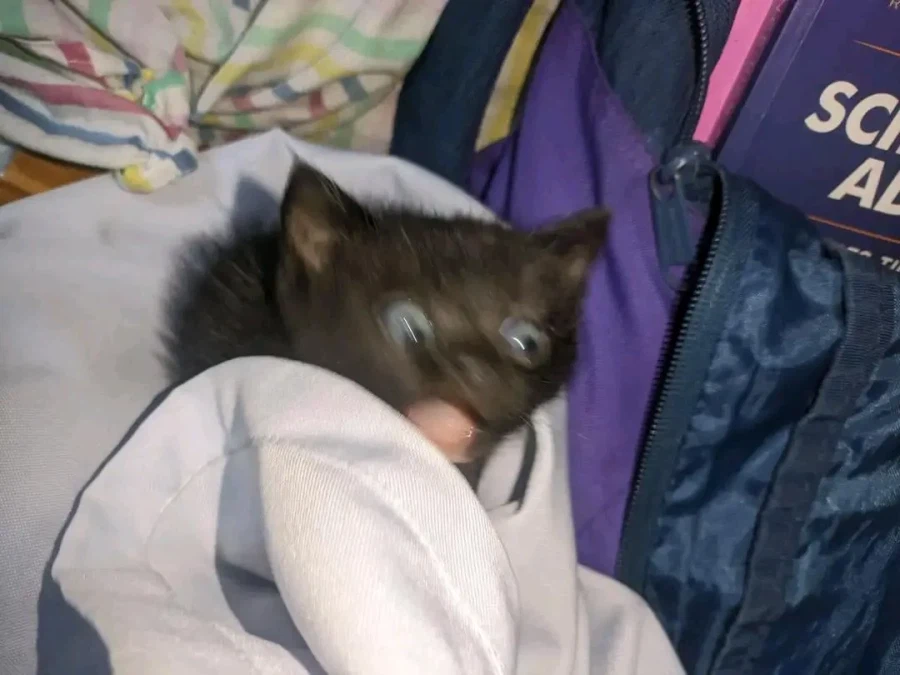 뭐 아직 붉은사막 나온지 일주일도 안됐다고?_1.webp