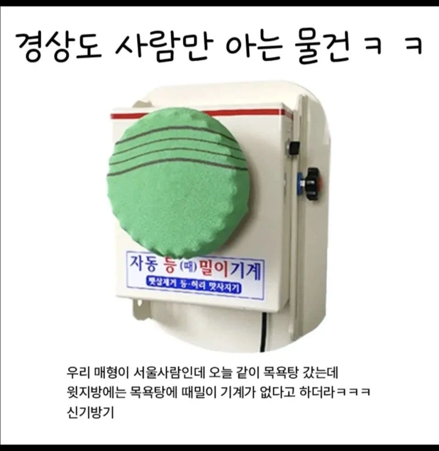 서울에 유일하게 없는것_1.webp