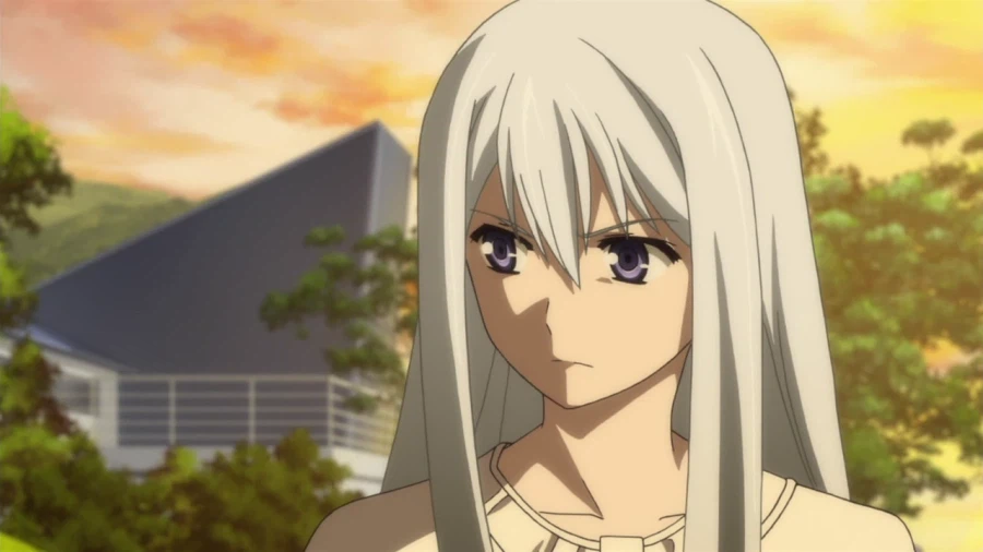 내가 본 하렘물 내 최애 특징_12.webp