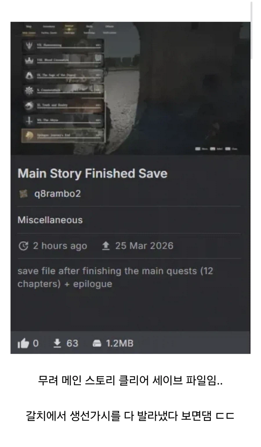 다른게임에서 하면 욕 엄청먹는데 붉은사막에선 인기있는 모드_1.webp