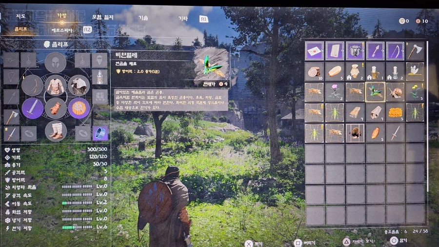 어제 붉은사막 하자마자, 곤충 채집부터 시작했어요^^_6.webp