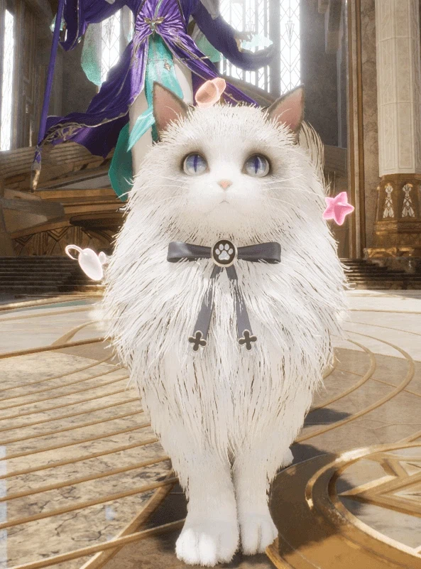 아이온2)인섭아 ㅆㅂ 고양이 한번 삶았냐?_1.webp