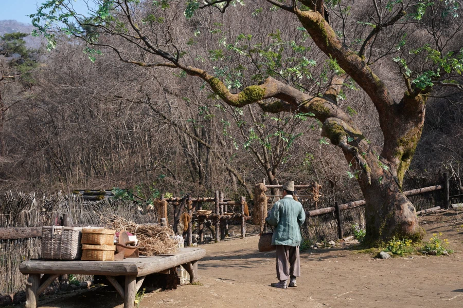 왕과 사는 남자 1500만 관객돌파!!!_15.webp