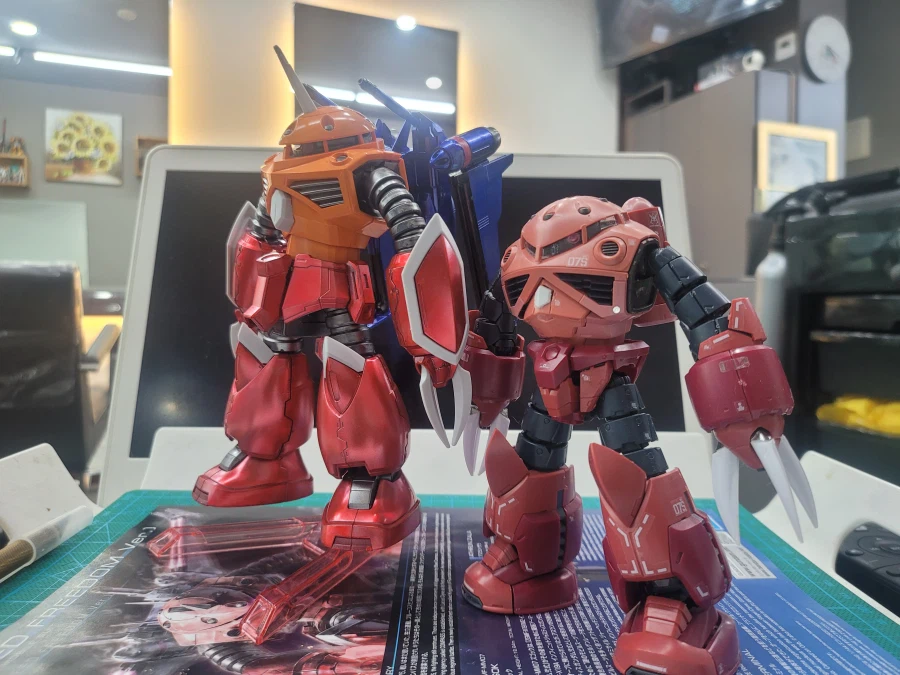 (초보도색)[HG]즈고크(시드 프리덤 버전)입니다._10.webp