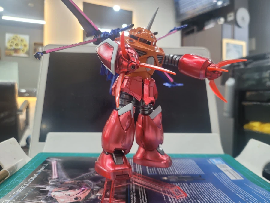 (초보도색)[HG]즈고크(시드 프리덤 버전)입니다._16.webp