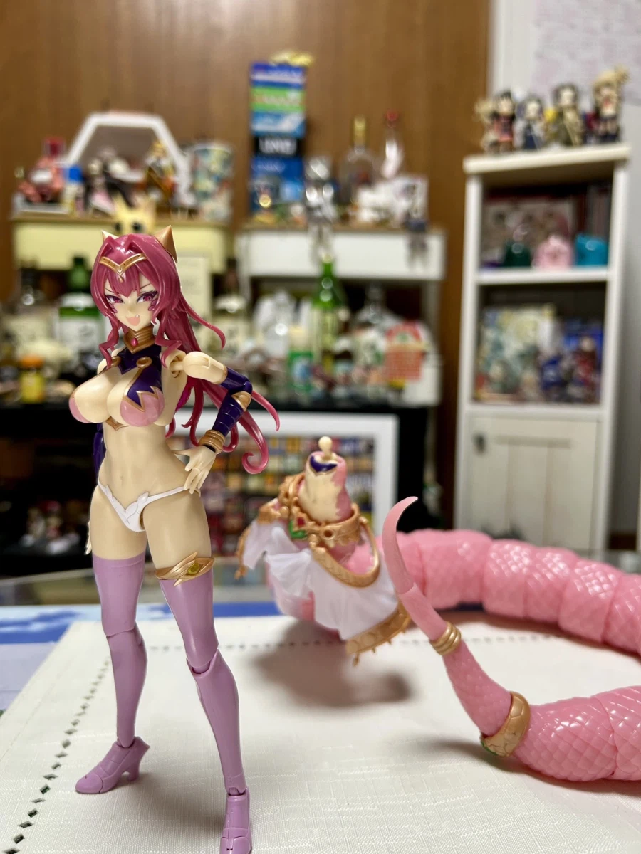 [코토부키야] 아르카나디아 아르아릴 해외 리뷰 (후방주의)_76.webp