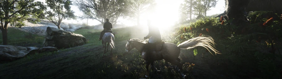 레드 데드 리뎀션2.jpg_13.webp