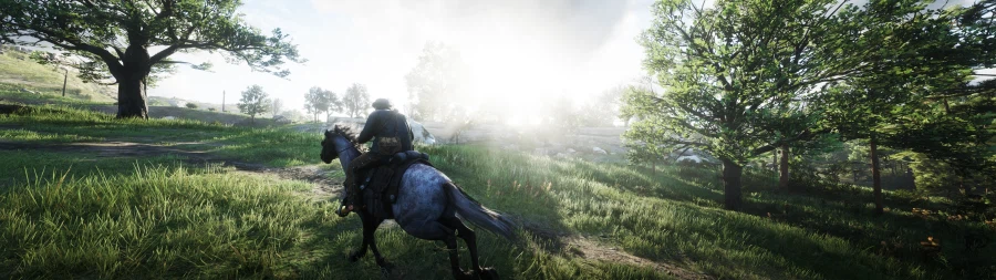 레드 데드 리뎀션2.jpg_14.webp