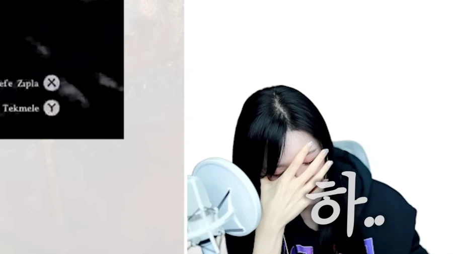 유튜브) 붉사를 이해하는 법을 알려주는 검은사막 스트리머 출신 스트리머_11.webp