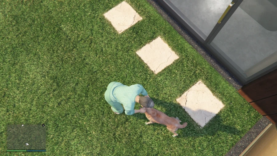 Gta 5 멍멍군 놀러운 스위스 친구녀_2.webp