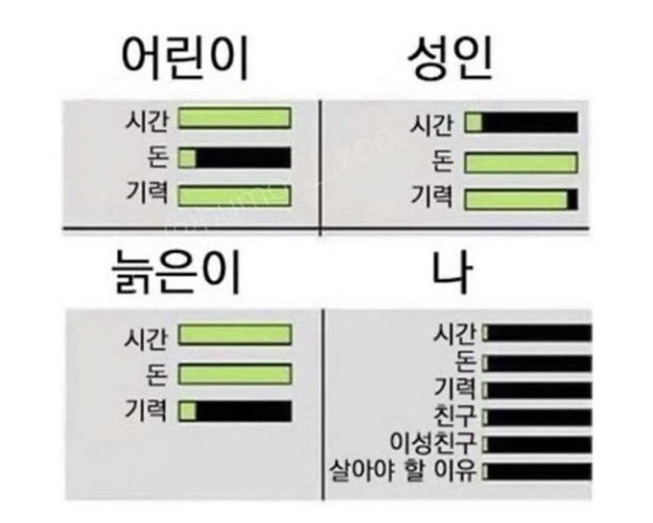 나이별 에너지.jpg_1.webp