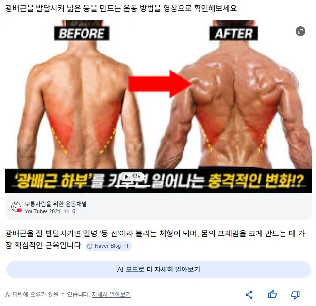 광배근 넓어지면 얻는 칭호.jpg_1.webp
