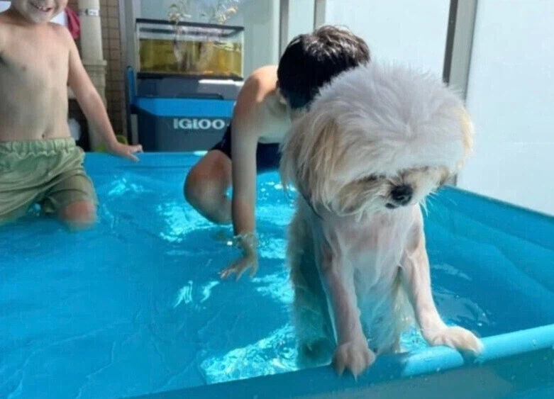 미루) 이모가 했었던 가장 큰 거짓말_2.webp