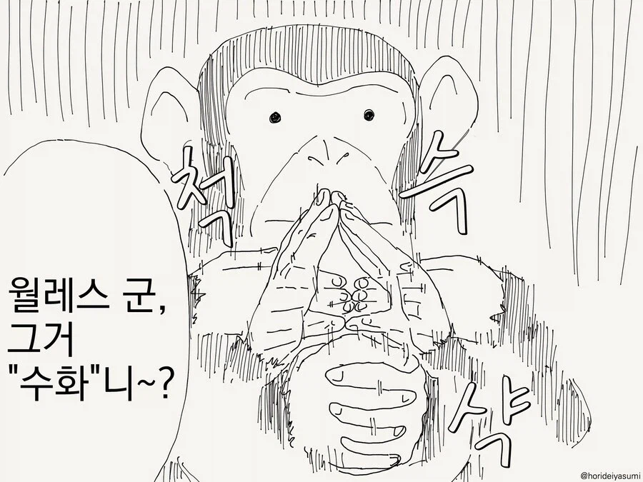 천재 침팬지 월레스군_2.webp