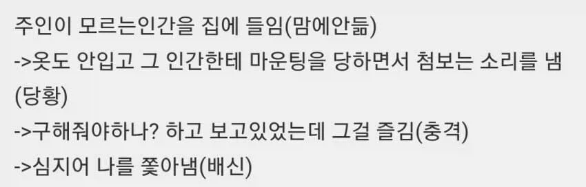 남펌) 서열이 무너진 주인과 강아지_2.webp