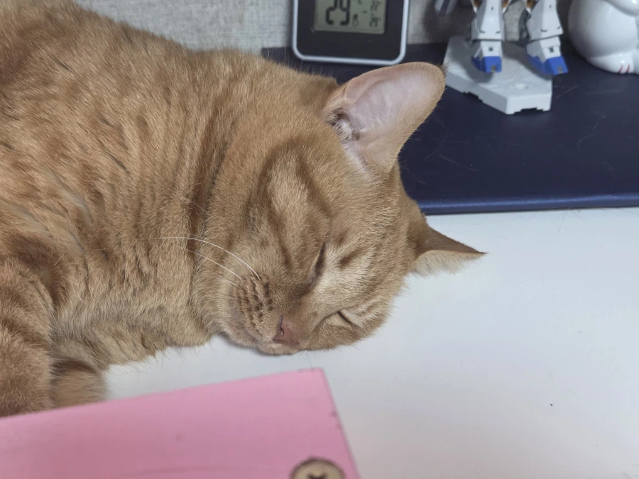 너희들 할망구 볼래?_1.webp