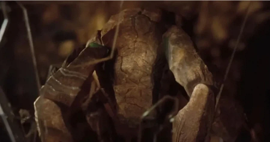 영화) 프로젝트 헤일메리 관람 소감_6.webp