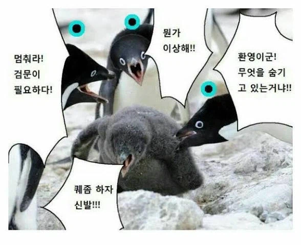 와우)PTSD오는 퀘스트명_2.webp