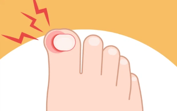 다시 보는 한국 축구 공식 슬로건.jpg_2.webp