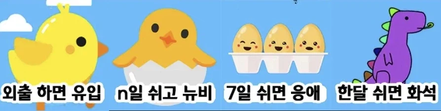 최근에 본 이게 왜있는지 궁금한 자격증_1.webp