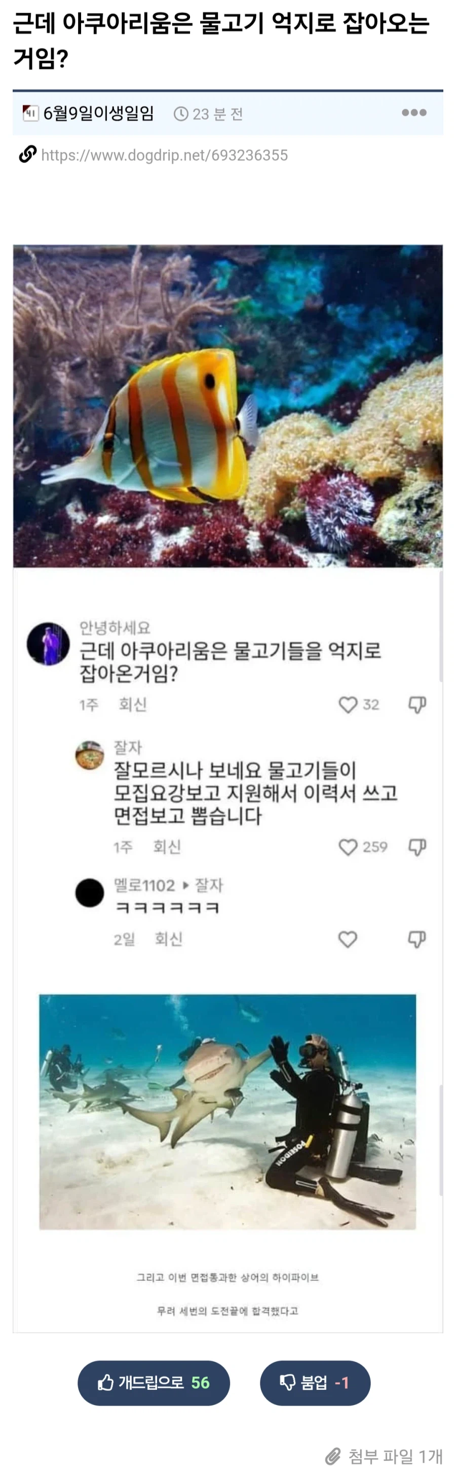 근데 아쿠아리움은 물고기 억지로 잡아오는 거임?_1.webp