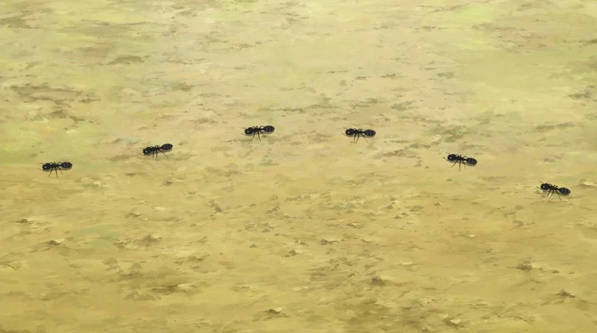 듀얼마스터즈) 6화, 골드한 위크! 남국 상륙작전!_29.webp