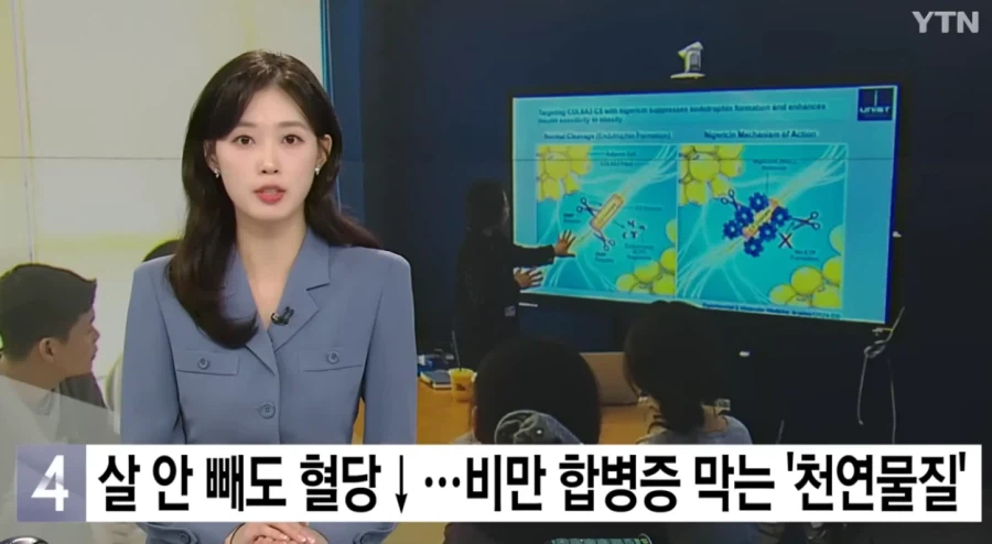 비만 치료제 연구 근황._1.webp