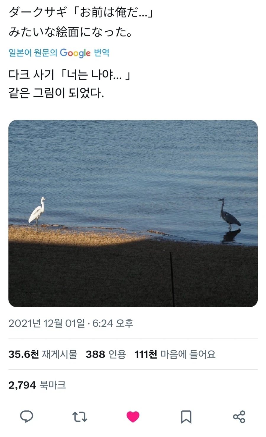 "말도 안돼... 이건 나잖아?"_1.webp