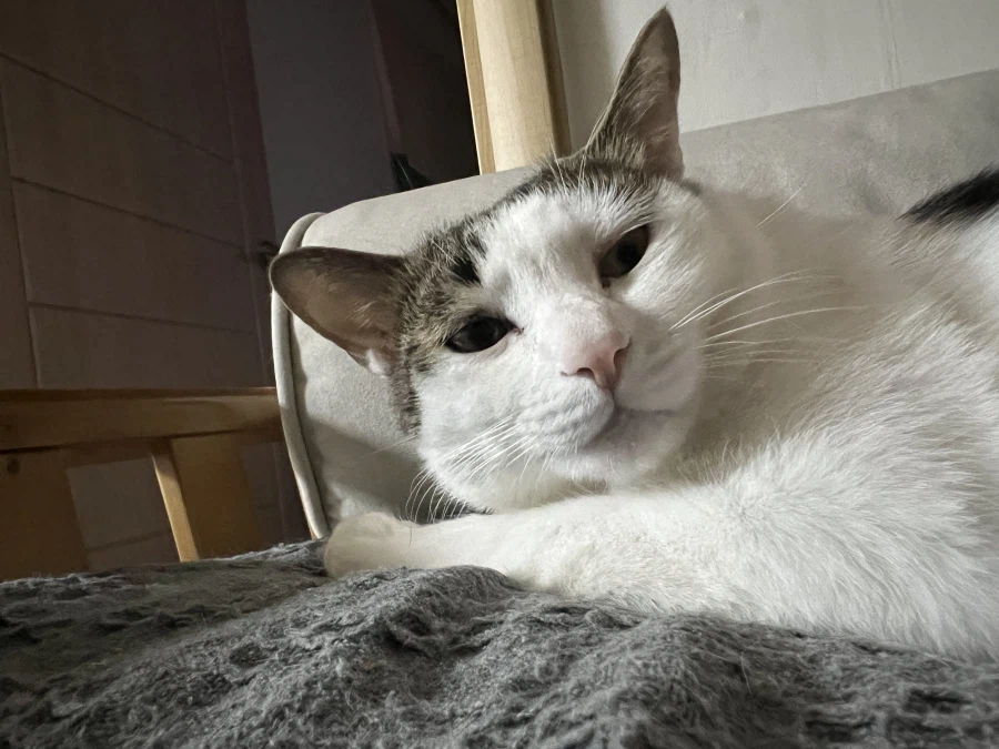 와... 낮잠 4시간 잤다_2.webp