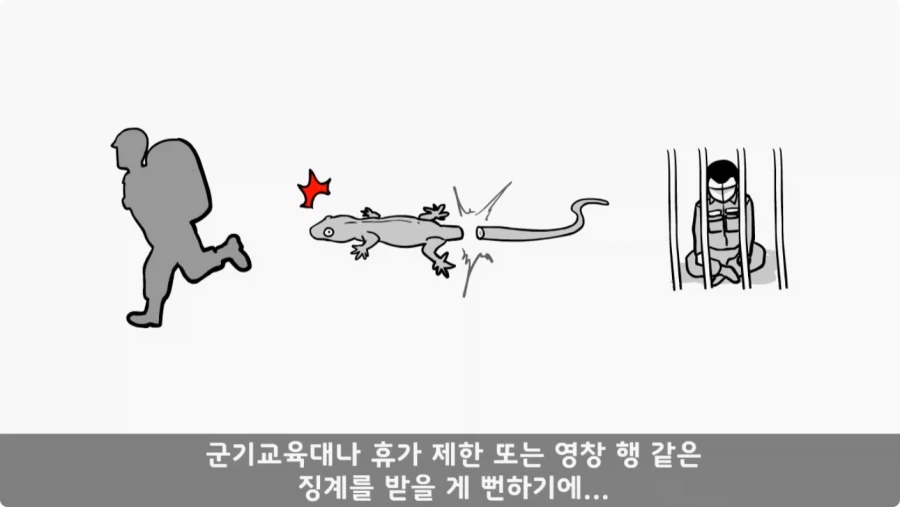 기무사 대령+쓰리스타 무적의 콜라보가 터진 날.jpg_47.webp