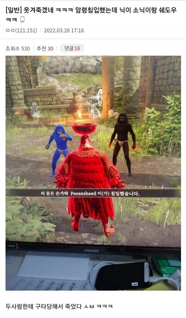 "게임하다가 소닉하고 쉐도우한테 털린 디시인."_1.webp