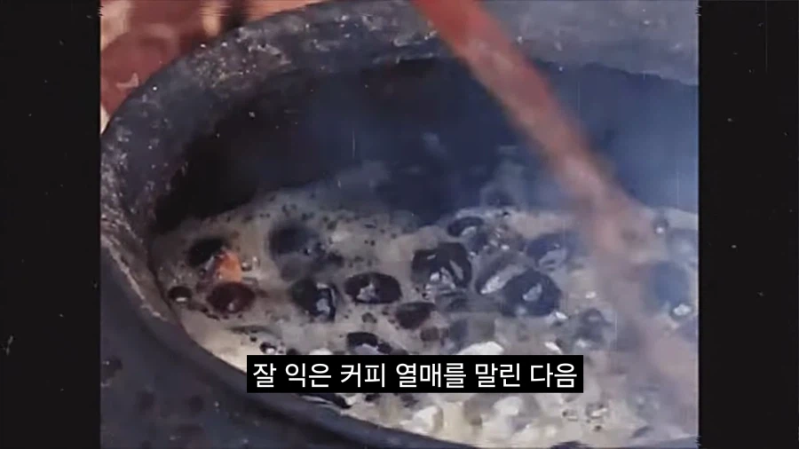 최초로 커피를 섭취했을것으로 추정되는 인류_3.webp