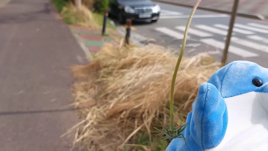 봄이 찾아왔어요!_13.webp